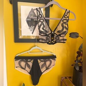 Thistle and Spire Plus Size Lingerie